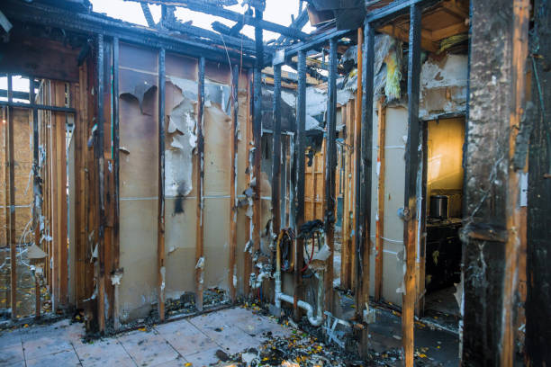 Professional Smoke Damage Removal technician working in Cleburne, TX